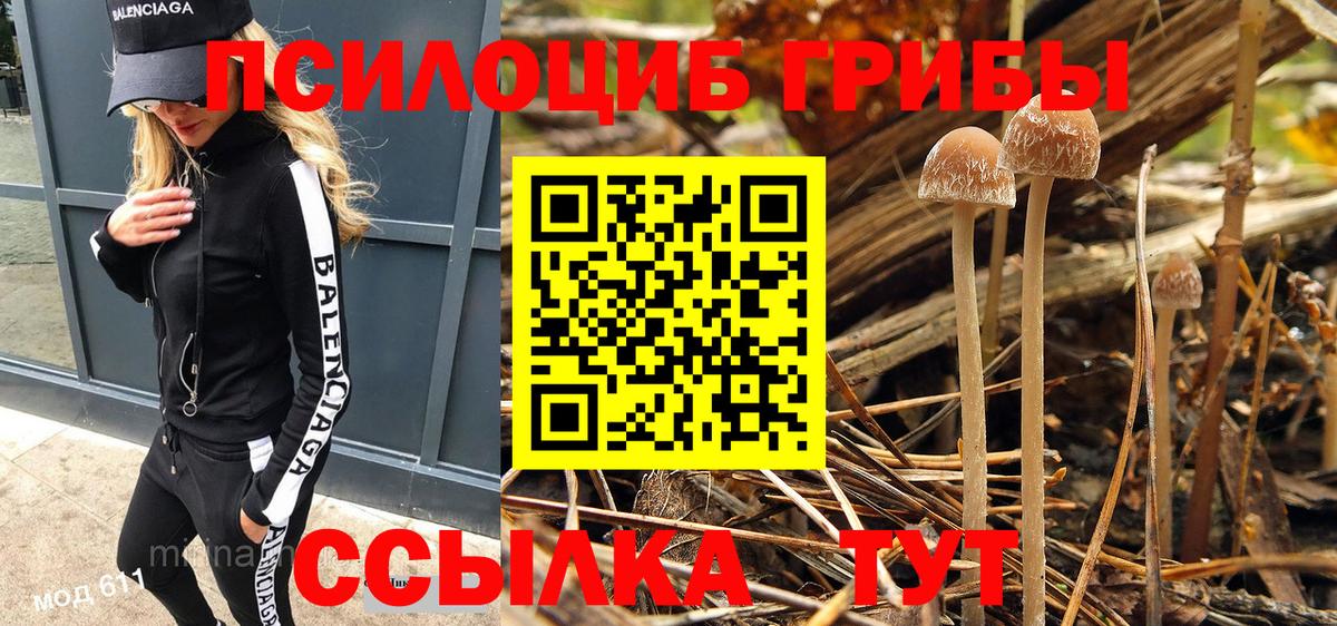 Уфа  Галлюциногенные грибы MAGIC MUSHROOMS  Вход с VPN 